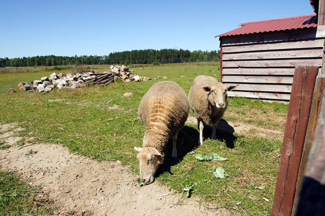 Pokoje Goscinne Mnich Przewloka  Exterior foto